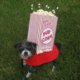 Pupcorn Dog Costume